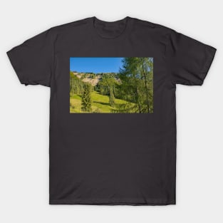 Monte Morgenleit in North Italian Alps T-Shirt